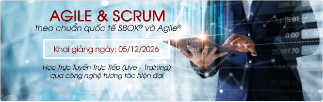 Agile scrum expert